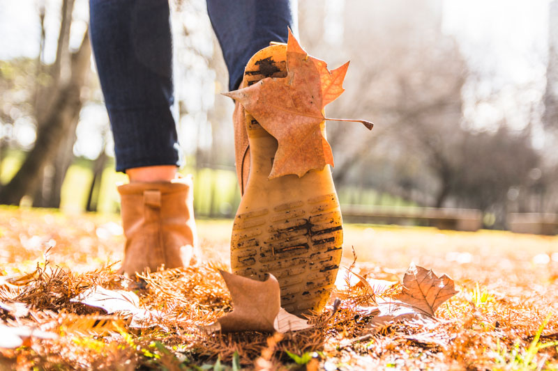 Il bello dell’autunno